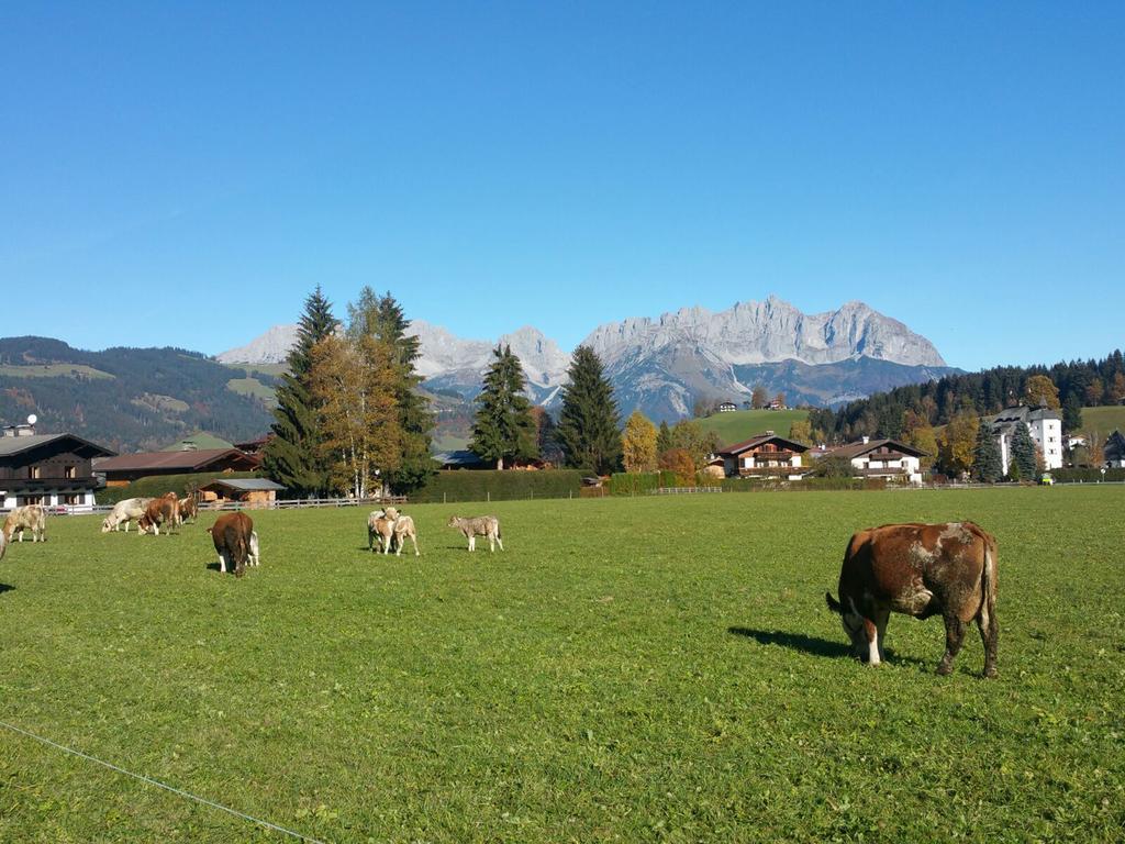 Willa Haus Aschenwald Kitzbühel Zewnętrze zdjęcie